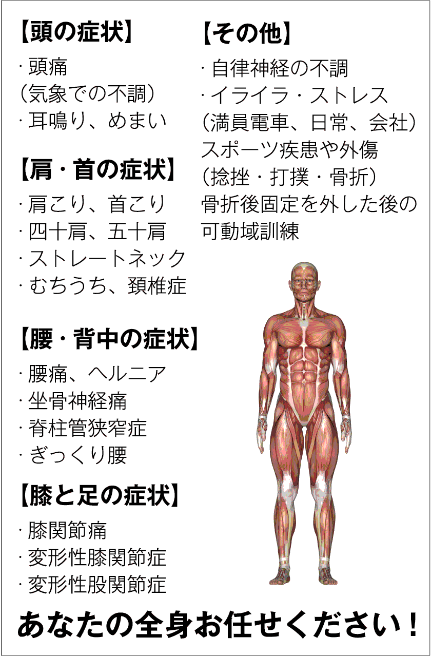 【頭の症状】・頭痛（気象での不調）・耳鳴り、めまい【肩・首の症状】・肩こり、首こり・四十肩、五十肩・ストレートネック・むちうち、頚椎症【腰・背中の症状】・腰痛、ヘルニア・坐骨神経痛・脊柱管狭窄症・ぎっくり腰【膝と足の症状】・膝関節痛・変形性膝関節症・変形性股関節症【その他】・自律神経の不調・イライラ・ストレス（満員電車、日常、会社）スポーツ疾患や外傷（捻挫・打撲・骨折）骨折後固定を外した後の可動域訓練:あなたの全身お任せください!