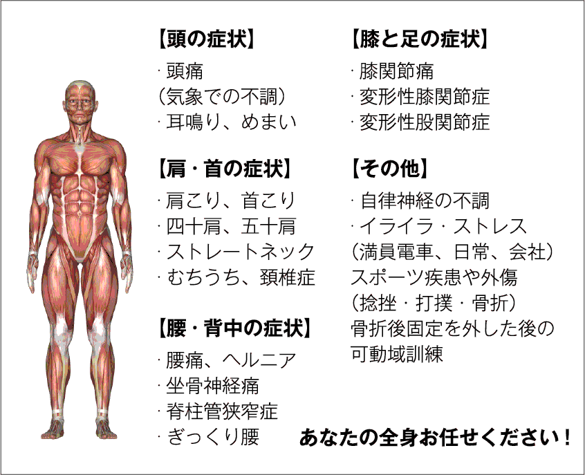 【頭の症状】・頭痛（気象での不調）・耳鳴り、めまい【肩・首の症状】・肩こり、首こり・四十肩、五十肩・ストレートネック・むちうち、頚椎症【腰・背中の症状】・腰痛、ヘルニア・坐骨神経痛・脊柱管狭窄症・ぎっくり腰【膝と足の症状】・膝関節痛・変形性膝関節症・変形性股関節症【その他】・自律神経の不調・イライラ・ストレス（満員電車、日常、会社）スポーツ疾患や外傷（捻挫・打撲・骨折）骨折後固定を外した後の可動域訓練:あなたの全身お任せください!