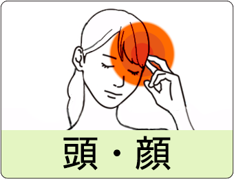頭・顔