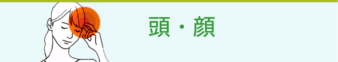 頭・顔
