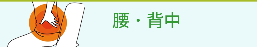 腰・背中