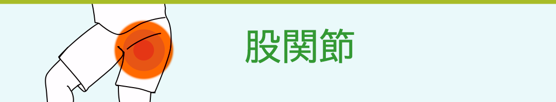 股関節