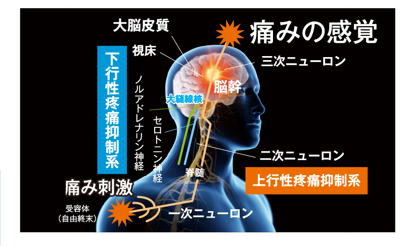 画像に alt 属性が指定されていません。ファイル名: landing-01b-1.png