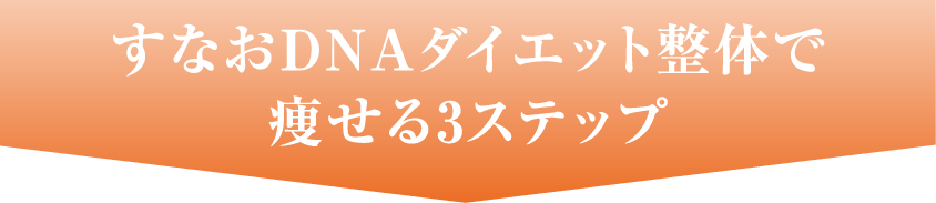 すなおDNAダイエット整体で痩せる3ステップ
