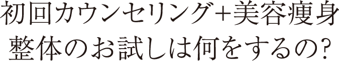 初回カウンセリング+美容痩身整体のお試しは何をするの?